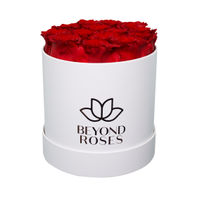 Rosen Bouquet Rot L