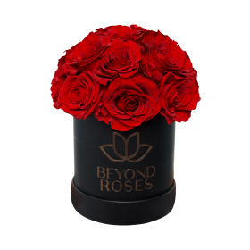 3D Rosen Bouquet Rot M